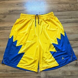 Y2K Jordan Laney Silky Dazzle Shimmer Shorts